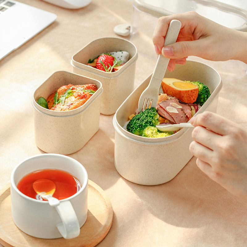 Boîte à lunch japonaise respec - Meal Prep Japanese Food avis et prix